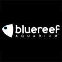 Blue Reef Aquarium